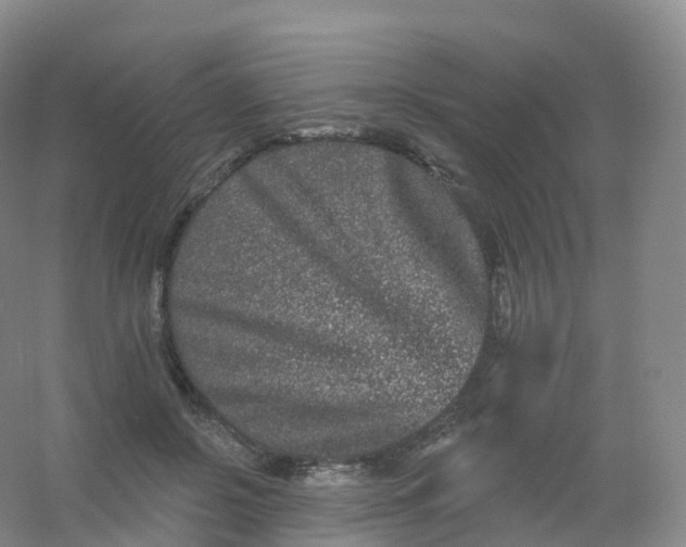 X0000054460550200508121940