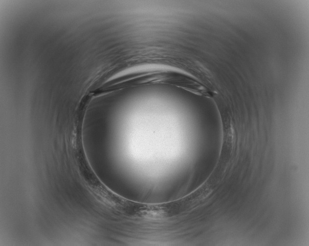 X0000054460552200508121940