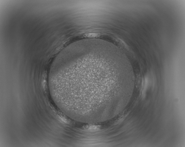 X0000054460553200508121940