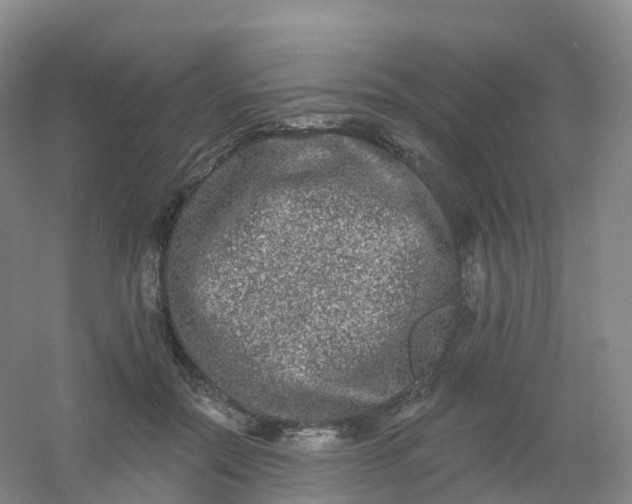 X0000054460554200508121940