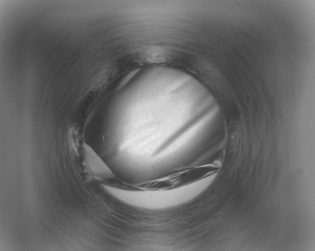 X0000054460555200508121940