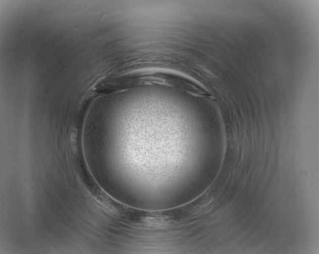 X0000054460556200508121940