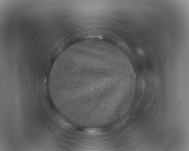 X0000054460557200508121940