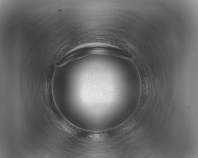 X0000054460558200508121940