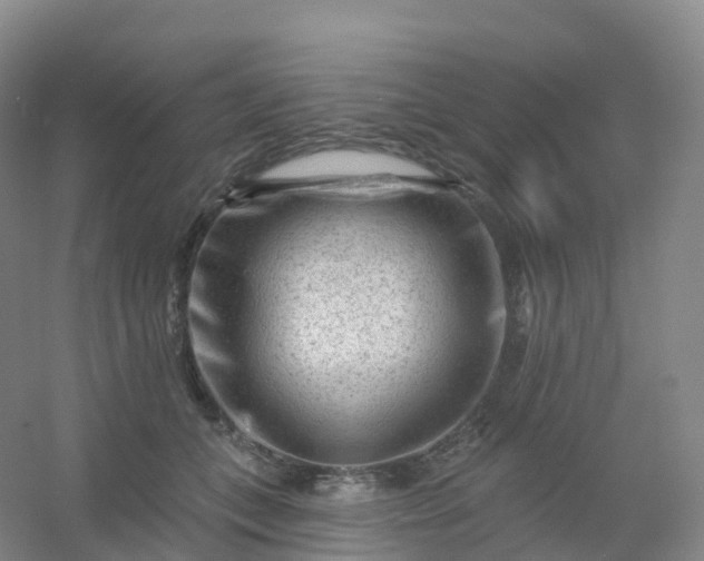 X0000054460559200508121940