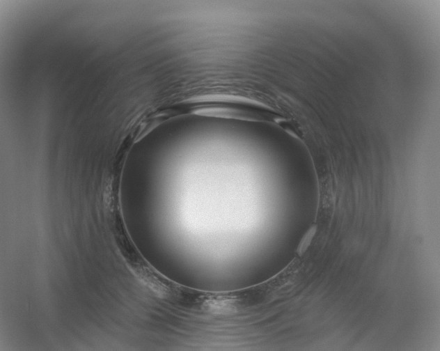 X0000054460560200508121940