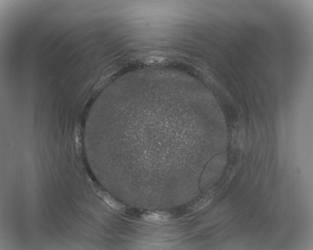 X0000054460561200508121940