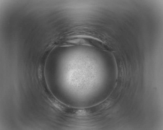 X0000054460562200508121940