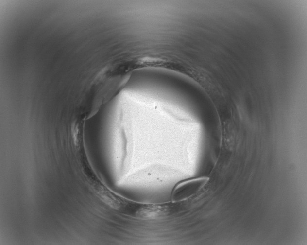 X0000054460563200508121940