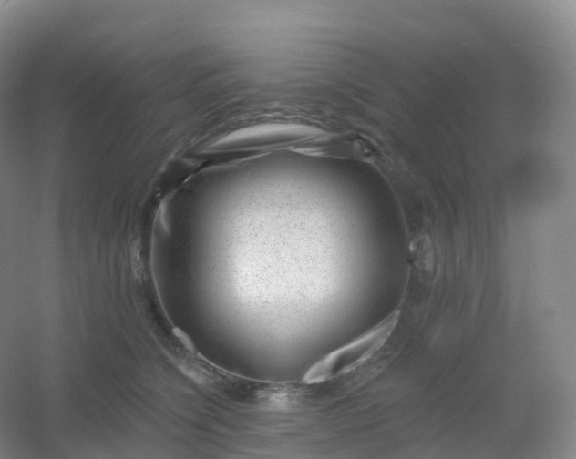 X0000054460564200508121940