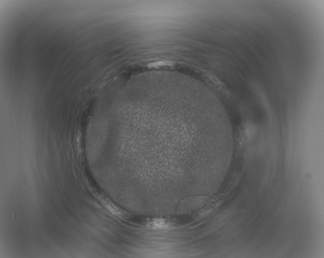 X0000054460565200508121940