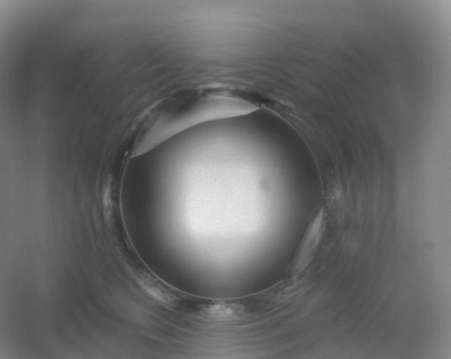 X0000054460566200508121940