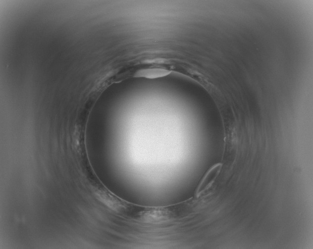 X0000054460567200508121940