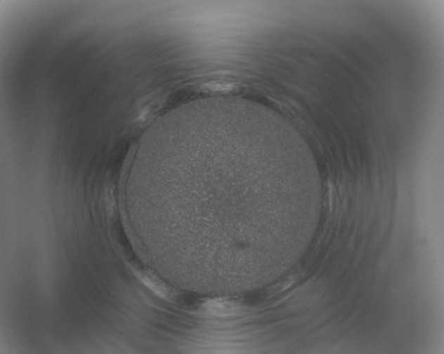 X0000054460568200508121940