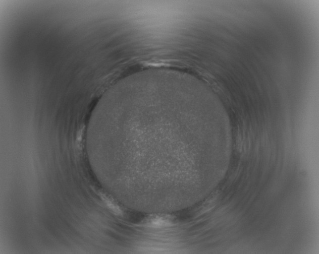 X0000054460569200508121940