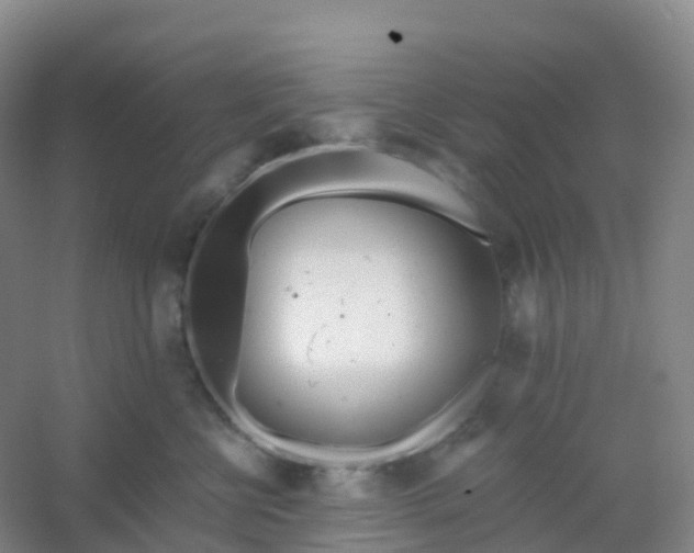 X0000054460570200508121940