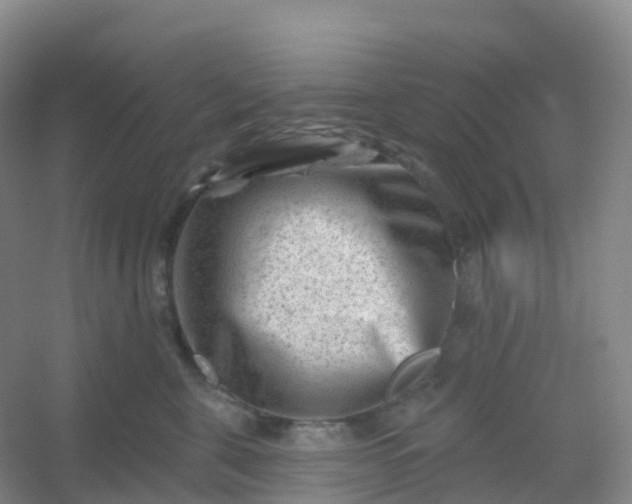 X0000054460571200508121940