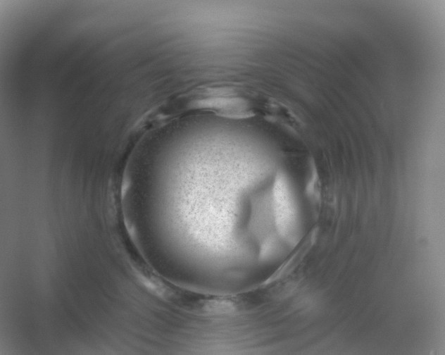 X0000054460572200508121940