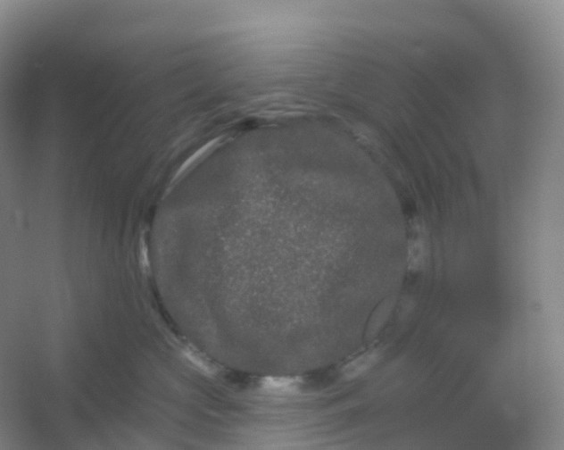 X0000054460573200508121940