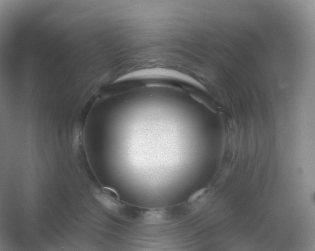 X0000054460574200508121940