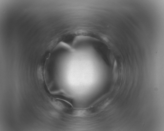 X0000054460575200508121940