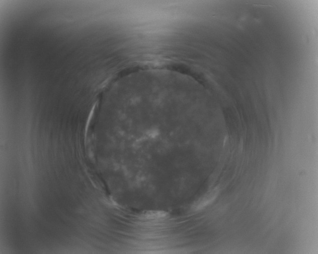 X0000054460576200508121940