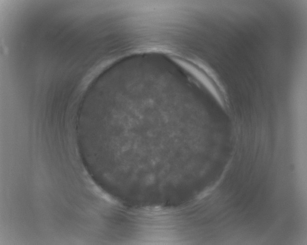 X0000054460577200508121939