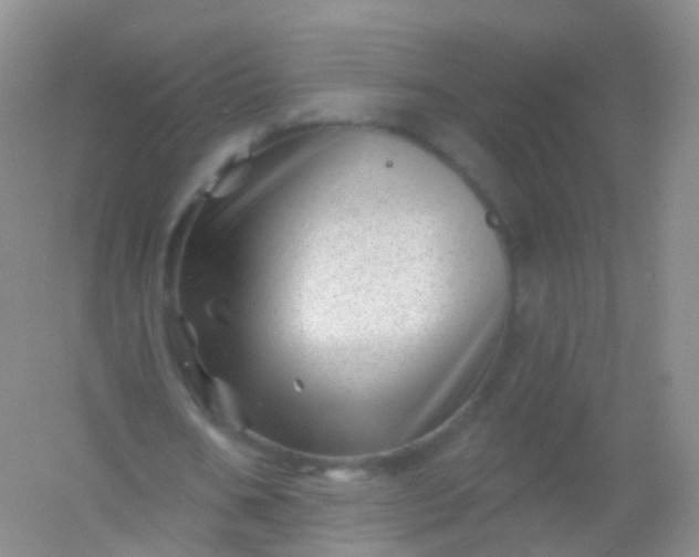 X0000054460578200508121939