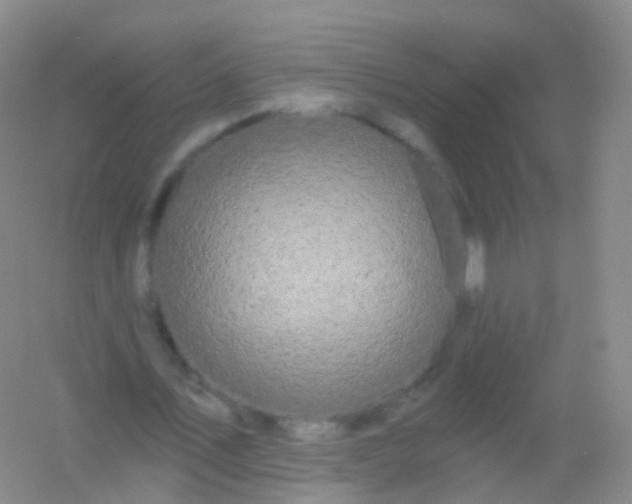 X0000054460579200508121939