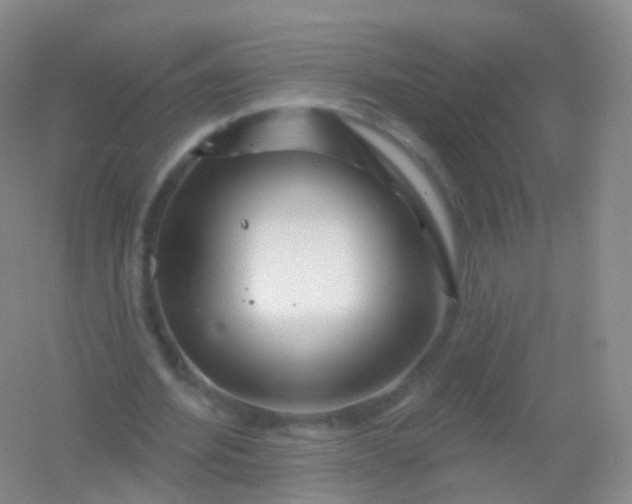 X0000054460580200508121939