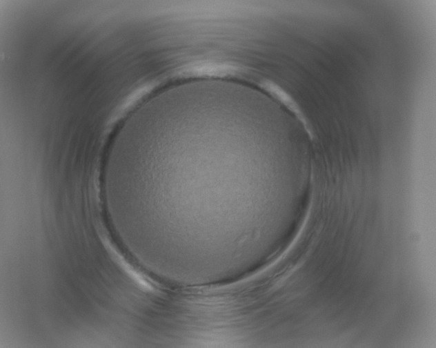 X0000054460581200508121939