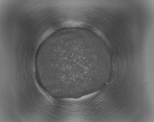 X0000054460582200508121939