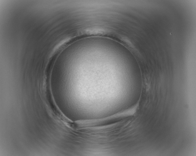 X0000054460583200508121939