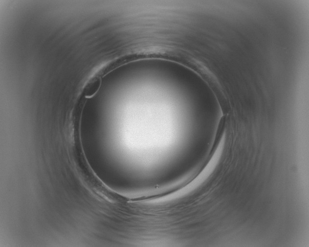 X0000054460584200508121939