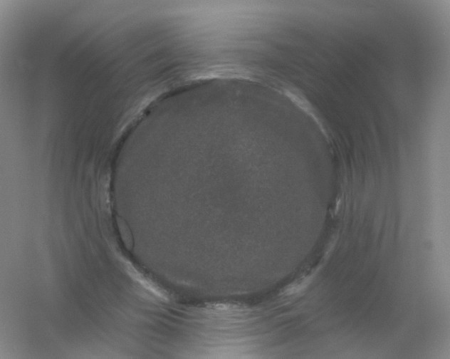 X0000054460585200508121939