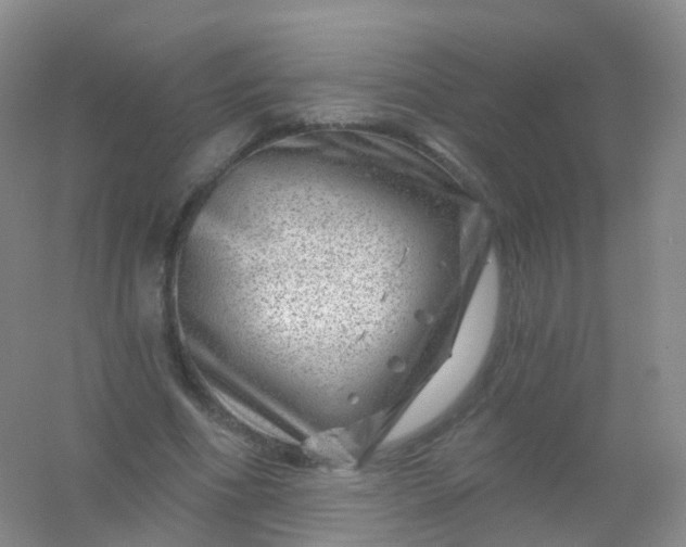 X0000054460586200508121939