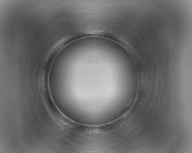 X0000054460587200508121939