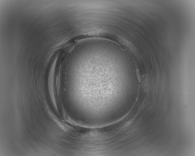 X0000054460589200508121939