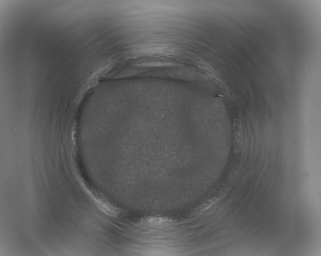 X0000054460590200508121939