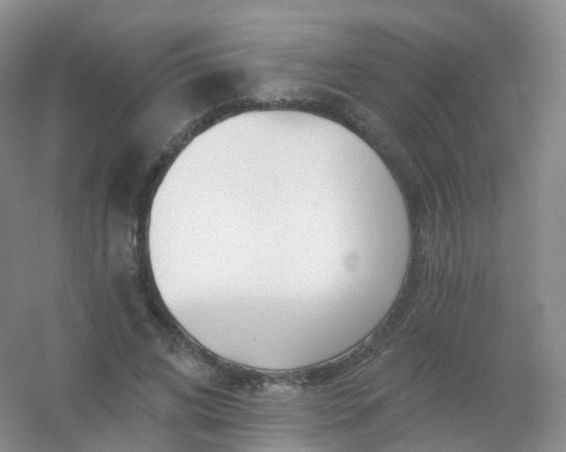 X0000054460592200508121939