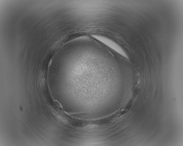 X0000054460593200508121939