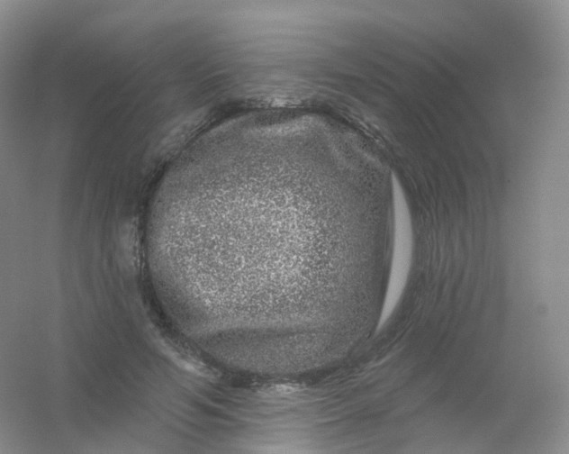 X0000054460594200508121939