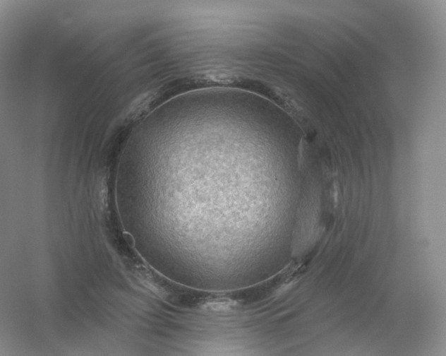 X0000054460595200508121939