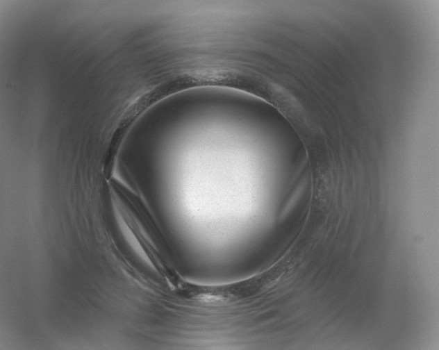 X0000054460596200508121939