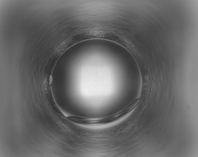 X0000054460597200508121939