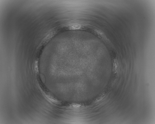 X0000054460598200508121939