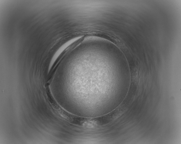 X0000054460599200508121939