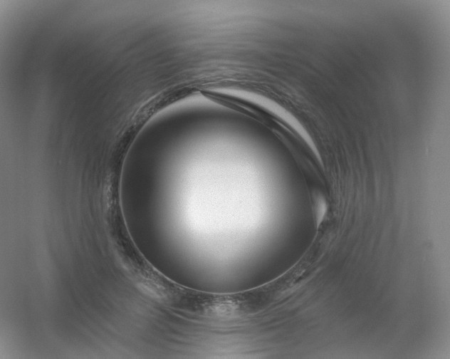 X0000054460600200508121939