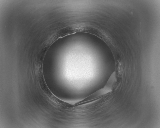 X0000054460601200508121939