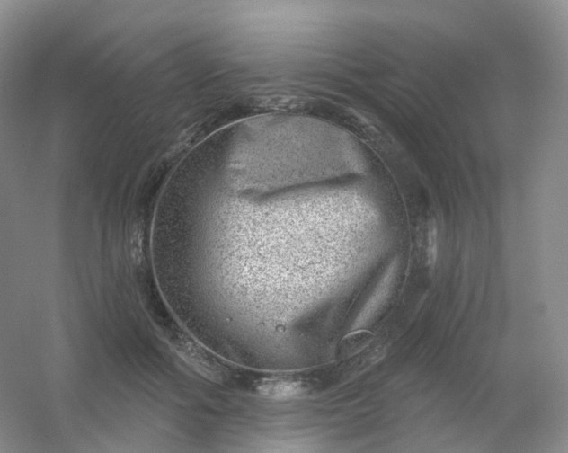 X0000054460602200508121939